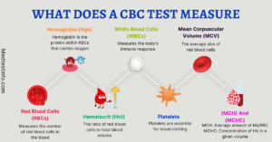 what does a cbc test measure, cbc test normal range, cbc test in detecting anemia, platelets in cbc, mpv in cbc, red blood cell in cbc, white blood cell in cbc, medtestinfo.com