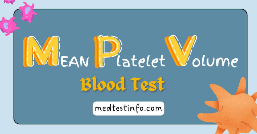 mpv blood test, mpv blood test normal range, mpv blood test during pregnancy, mpv blood test interpretation, mpv blood test high and low, high and low mpv, mean platelet volume , medtestinfom.com