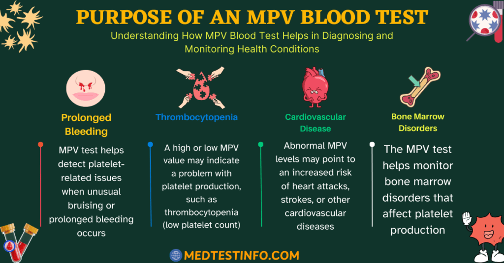 purpose of an mpv blood test, mpv blood test, bone marrow disorder and mpv blood test, cardiovascular disease and mpv blood test, bleeding and mpv blood test, why we do mpv blood test, medtestinfo.com